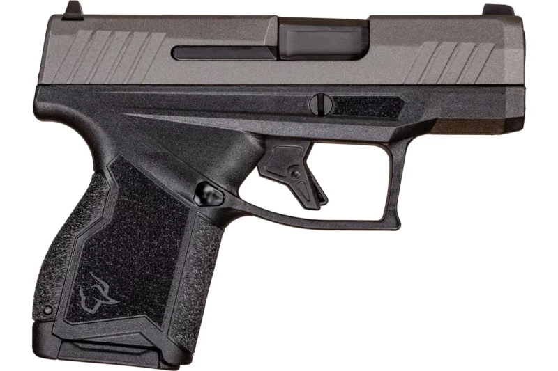 Taurus GX4 9mm pistol with black polymer frame and tungsten Cerakote slide, includes two magazines