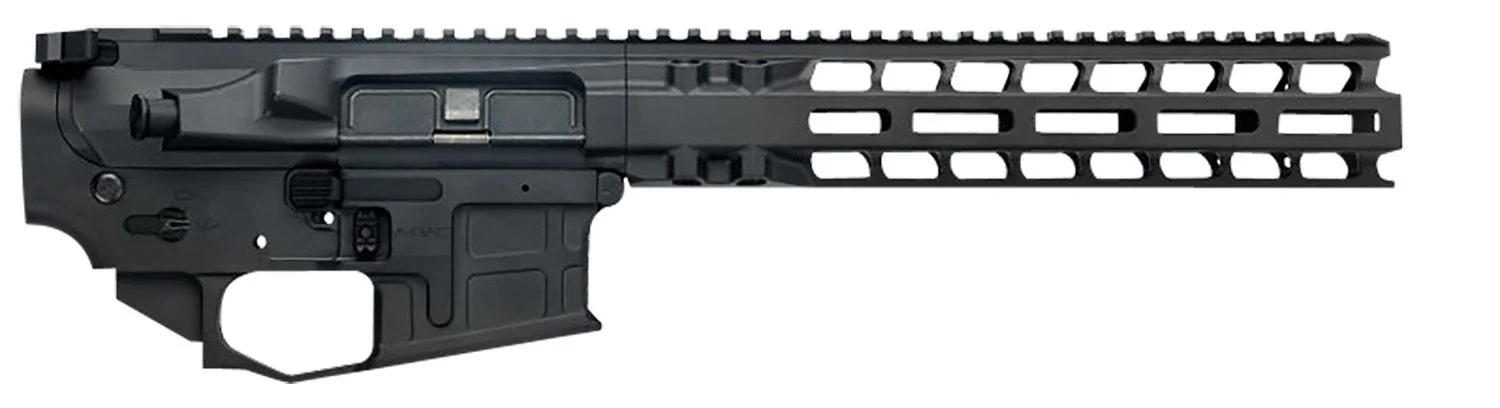 Radian Weapons Model 1 builder kit with 10-inch M-LOK handguard in black