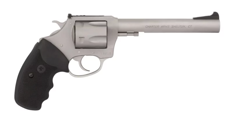Charter Arms Target Magnum .357 Magnum 6 inch stainless revolver, 6-round, rubber grip