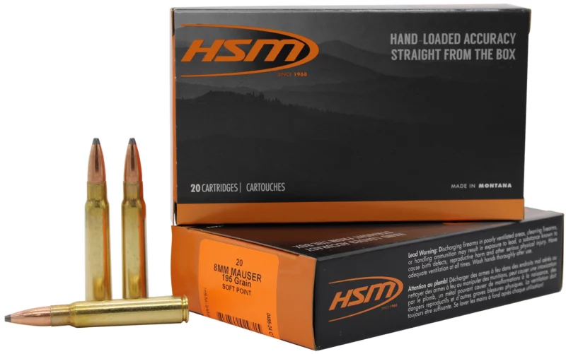 20rd Box Ammo