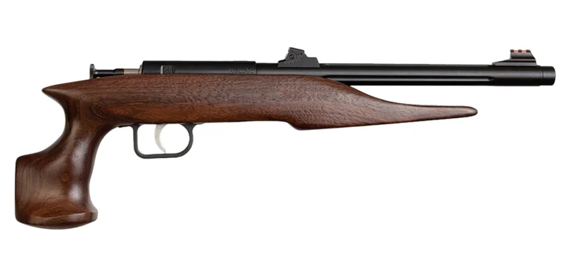 Davey Crickett Crickett 41001 Hunter .22 Magnum 9-inch threaded blued barrel walnut stock