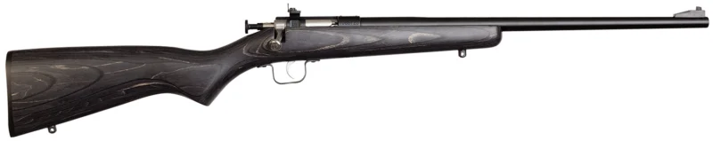 Davey Crickett Crickett KSA2244 .22 LR 16.12in blued rifle with black laminate stock
