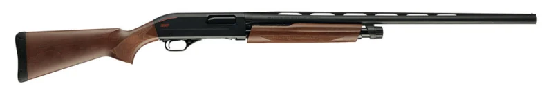 Winchester SXP Field 20 Gauge pump shotgun with 28-inch vent-rib barrel and satin walnut stock
