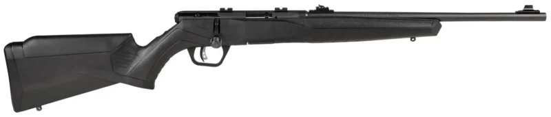 Savage Arms B22 Magnum F Compact .22 WMR 18-inch matte blued synthetic rifle