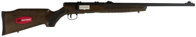 Savage B17 G bolt-action rifle with 21 inch barrel and walnut-stained hardwood stock