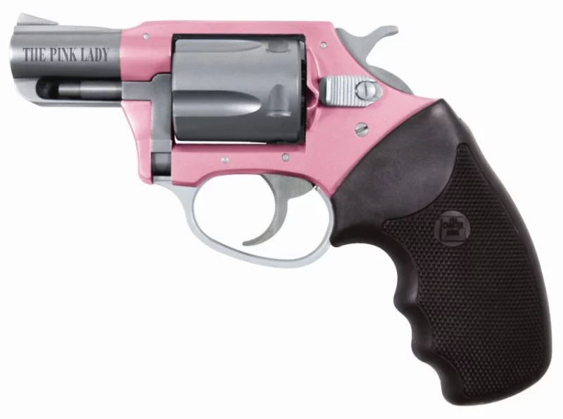 Charter Arms Pink Lady .38 Special 2-inch 5-shot revolver pink frame stainless barrel