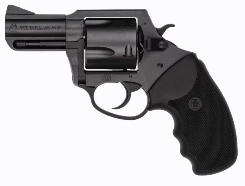 Charter Arms Mag Pug 2.2 inch 5-round black nitride stainless revolver