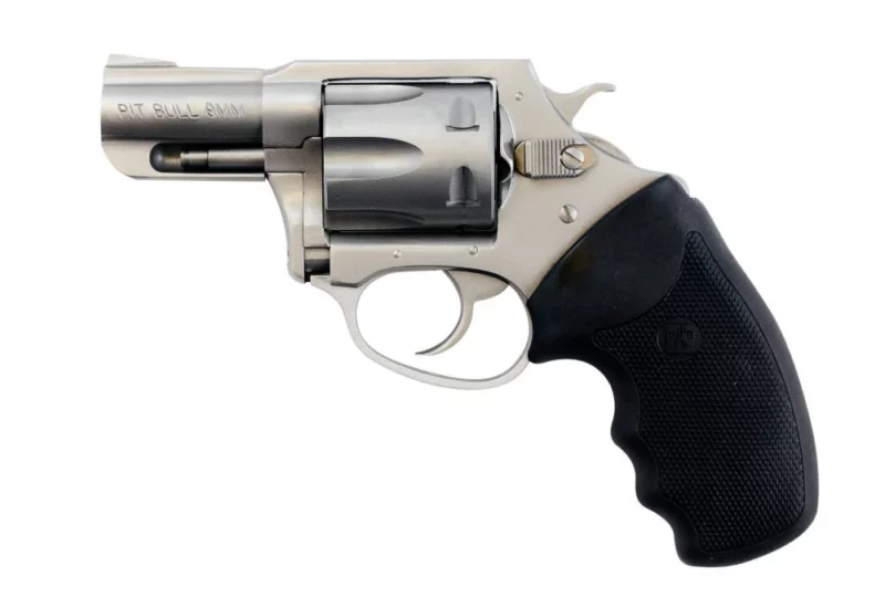 Charter Arms Pitbull 9mm 5-shot stainless revolver, matte finish, fixed sights