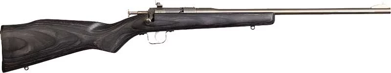 Chipmunk CHIPMUNK RIFLE .22 LR stainless barrel black laminate stock