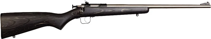 Davey Crickett Crickett G2 .22 LR bolt-action rifle, stainless metal and black laminate stock
