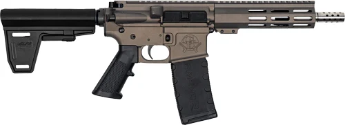 Great Lakes 223 Wylde braced pistol 7.5in stainless barrel tungsten finish with 30rd magazine