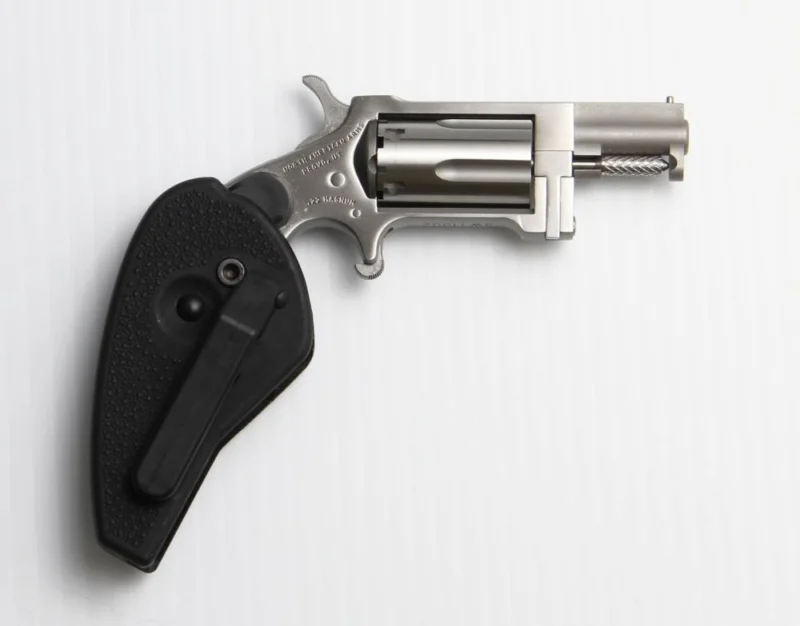 North American Arms Sidewinder .22 Magnum 1-1/8 inch stainless revolver with holster/grip combo