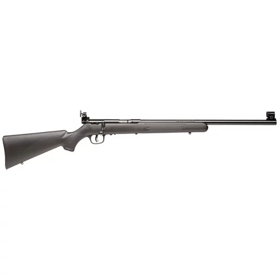 Savage Mark II FVT .22 LR bolt-action rifle with matte blued barrel and black synthetic stock