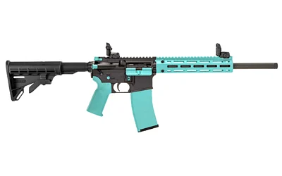 Tippmann Arms M4-22 ACCENT .22 LR AR-style rifle with 16-inch barrel