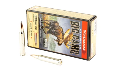 Winchester Expedition Big Game LR .300 Win Mag 190 Gr Ammo - 20 Rd 20 Rd Ammo
