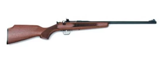 Keystone Chipmunk Chipmunk Deluxe .22 LR blued rifle with walnut stock