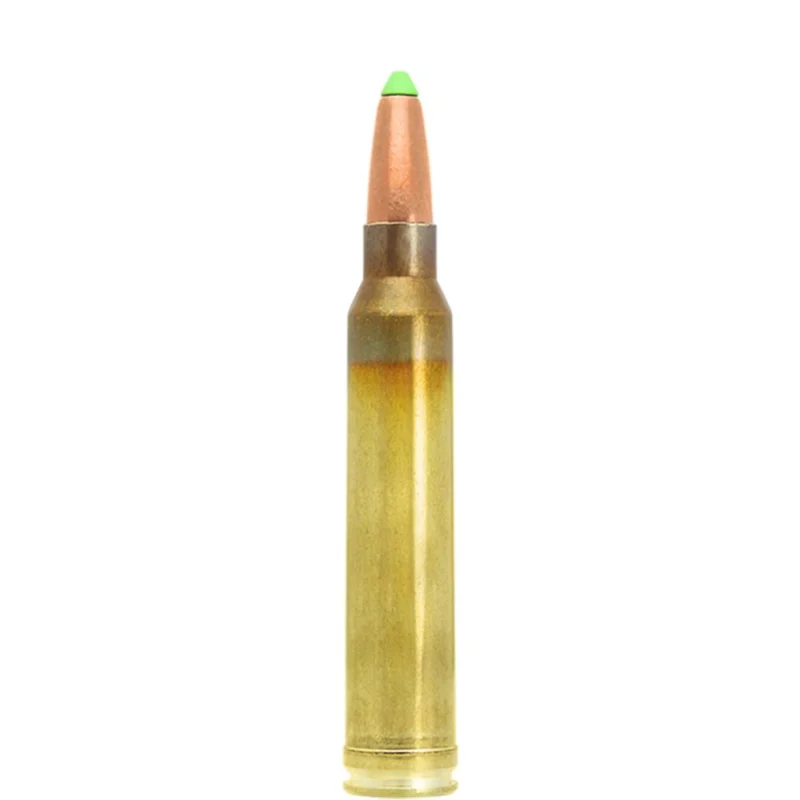 Lapua .300 Win Mag 170gr Naturalis Solid 10-round box