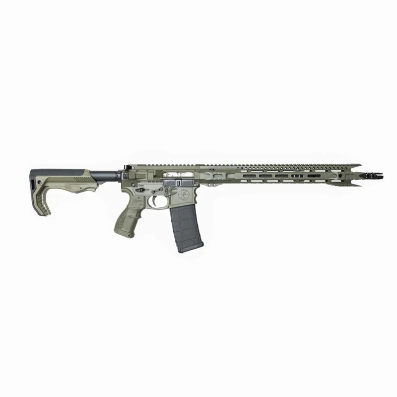 FosTech Stealth Raptor RIA 5.56 16in OD Green rifle
