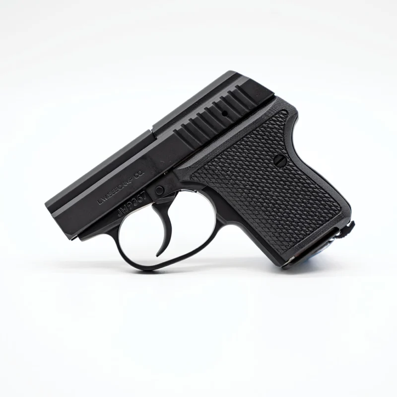 L.W. Seecamp LWS-380 black pocket pistol 2-inch barrel .380 ACP