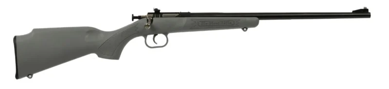 Davey Crickett CRICKETT .22 LR rifle, 16.125-inch blued barrel, gray synthetic stock
