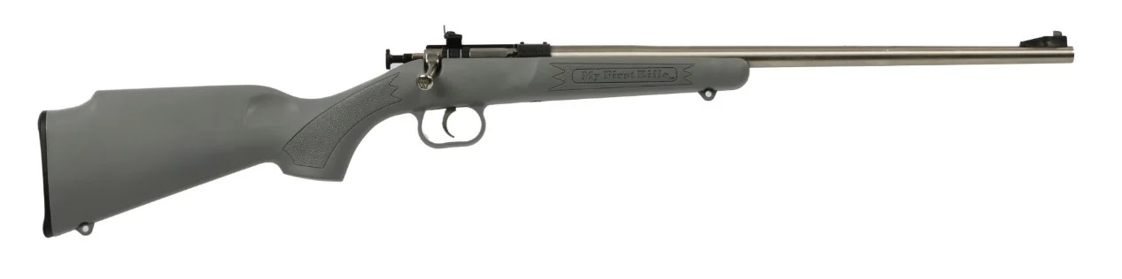 Davey Crickett Keystone Sporting Arms Crickett .22 LR single-shot rifle stainless gray stock