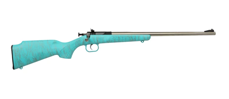 Davey Crickett Crickett .22 LR stainless rifle with blue and gold synthetic stock